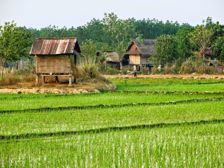 Experience Muang Sing’s heritage with guided tours